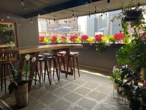 terraza en área social, con o sin muebles