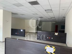 Local Comercial y Oficina en Av Palmas en Renta