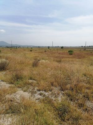 TERRENO EN  RENTA COYOTEPEC