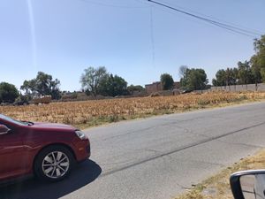 Terreno sobre carretera