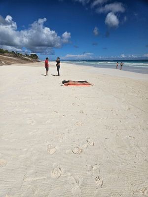 TERRENO VENT A TULUM QUINTANA ROO