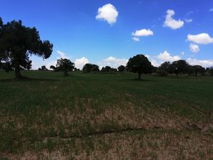 Carretera México-Tuxpan en Zempoala Hidalgo