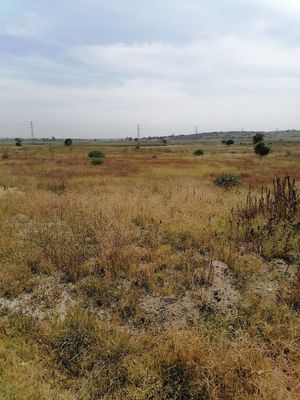 TERRENO EN  RENTA COYOTEPEC