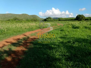 Terrenos en Venta Rancho El Pensamiento Fracc Las Cañadas Aldama Tamaulipas