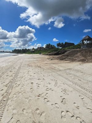 TERRENO VENT A TULUM QUINTANA ROO