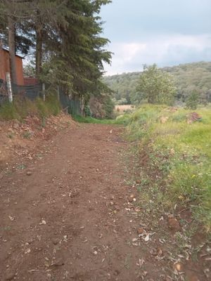 TERRENO XOCHIMILCO, SAN FRANCISCO TLALNEPANTLA , TOPILEJO-VENTA