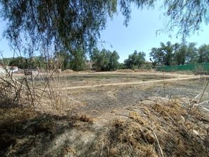 TERRENO A LA VENTA EN PUEBLO DE AMAJAC, CHIAUTLA