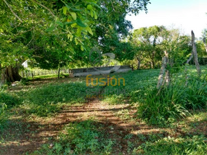 Terrenos en Venta Rancho El Pensamiento Fracc Las Cañadas Aldama Tamaulipas