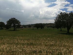 Carretera México-Tuxpan en Zempoala Hidalgo