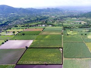 Venta Terreno en Yautepec