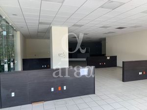 Local Comercial y Oficina en Av Palmas en Renta