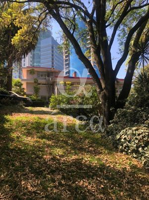 Terreno en Venta en  Lomas de Chapultepec