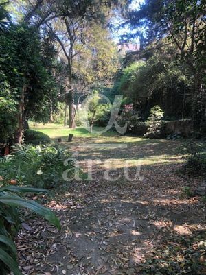 Terreno en Venta en  Lomas de Chapultepec