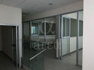 Local Comercial y Oficina en Av Palmas en Renta