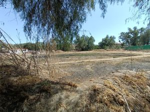 TERRENO A LA VENTA EN PUEBLO DE AMAJAC, CHIAUTLA