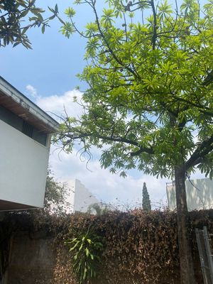 Casa en Venta Cuernavaca Morelos