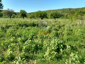 Terrenos en Venta Rancho El Pensamiento Fracc Las Cañadas Aldama Tamaulipas