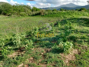 Terrenos en Venta Rancho El Pensamiento Fracc Las Cañadas Aldama Tamaulipas