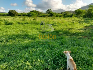 Terrenos en Venta Rancho El Pensamiento Fracc Las Cañadas Aldama Tamaulipas