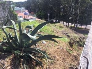 Terreno en venta en Colinas del Bosque