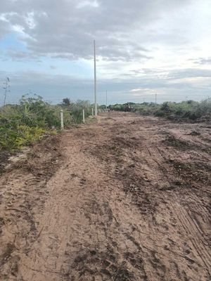 Terrenos en Venta en Mareas en Chicxulub Puerto Yucatan