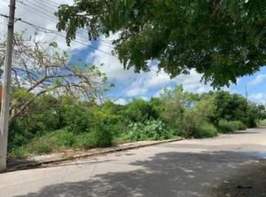 Terreno en Venta en Tixcacal, Yucatán