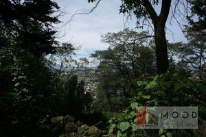 TERRENO EN VENTA EN OCOYOACAC