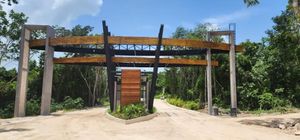 QUINTANA ROO MUKTA RESIDENCIAL VENTA DE LOTES EN LA RUTA DE LOS CENOTES