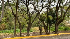 Terreno en Venta en Las Cañadas 843.73m2 Uso de suelo mixto