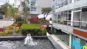 PASEO DE LAS PALMAS , LOMAS DE CHAPULTEPEC 400m2 , $198000