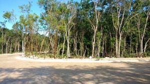 TERRENO RESIDENCIAL, SENDEROS MAYAKOBA, PLAYA DEL CARMEN