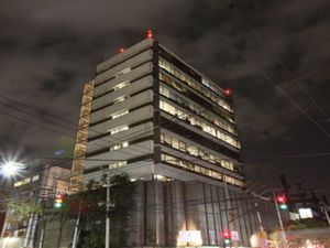 RENTA DE OFICINAS COMERCIALES TORRES ADALID 297.65m2, $83,342.00 (5)