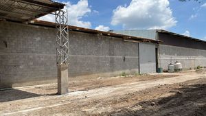 Bodega de 1,000 m2 en Renta Cerca del CEDIS Walmart El Salto Jalisco