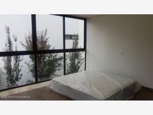 Departamento en Venta en Los Alpes Álvaro Obregón