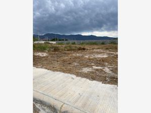 Terreno en Venta en Los Siller Saltillo