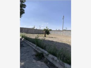 Terreno en Venta en La Rosaleda Saltillo