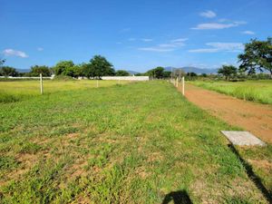 Terreno en Venta en Del Niño Villa de Zaachila