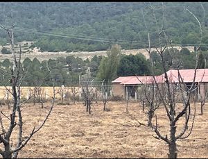 Terreno en Fraccionamiento Campestre Dos Encinas