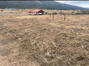 Terreno en Fraccionamiento Campestre Dos Encinas