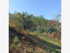 Terreno en Venta en Ramblases Puerto Vallarta