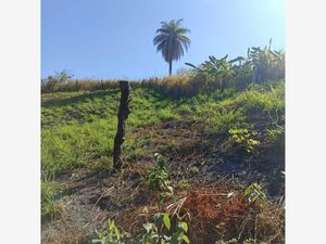 Terreno en Venta en Ramblases Puerto Vallarta