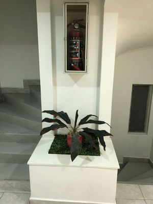 VENTA DEPARTAMENTO  EN LA NAPOLES