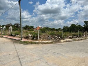 Terreno en venta en esquina en el Roble Agricola  Merida Yucatan