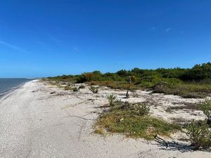 Terreno en venta Frente al mar Celestun Yucatan