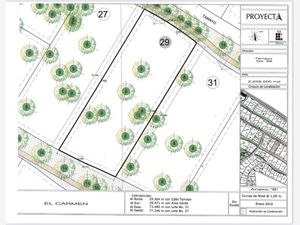 Terreno en Venta en El Carmen Atlixco