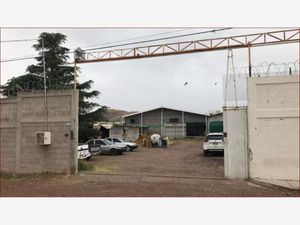 Bodega en Venta en Las Animas Chihuahua