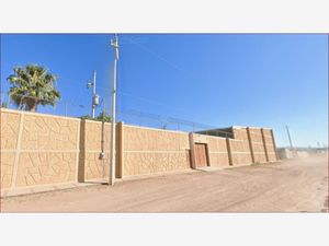 Terreno en Venta en Fundadores Chihuahua