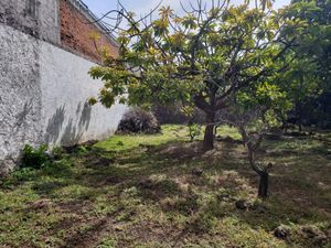 VENTA DE CASA EN LA COL. 3 DE MAYO, EMILIANO ZAPATA, MORELOS