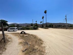 TERRENO EN RENTA EN FRANCISCO ZARCO, VALLE DE GUADALUPE