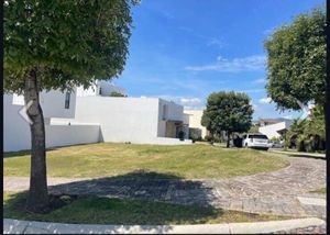 Terrenos en venta Lomas 1 , Lomas de Angelopolis Puebla